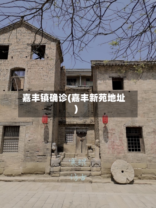 嘉丰镇确诊(嘉丰新苑地址)