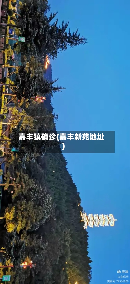 嘉丰镇确诊(嘉丰新苑地址)-第2张图片