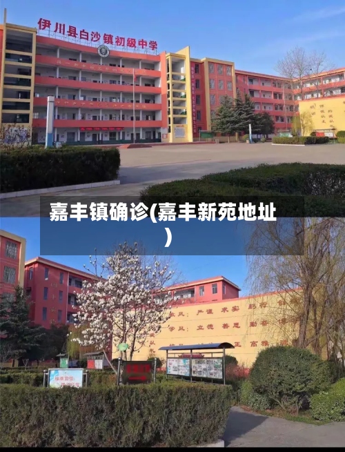 嘉丰镇确诊(嘉丰新苑地址)-第3张图片