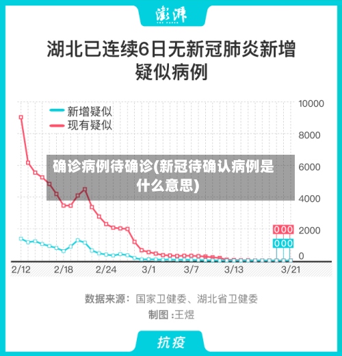确诊病例待确诊(新冠待确认病例是什么意思)
