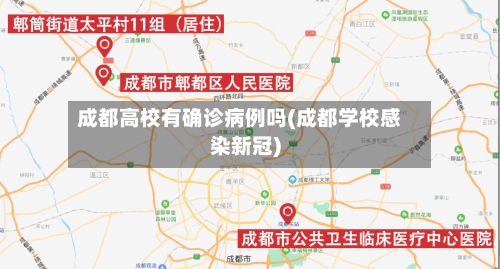 成都高校有确诊病例吗(成都学校感染新冠)-第2张图片