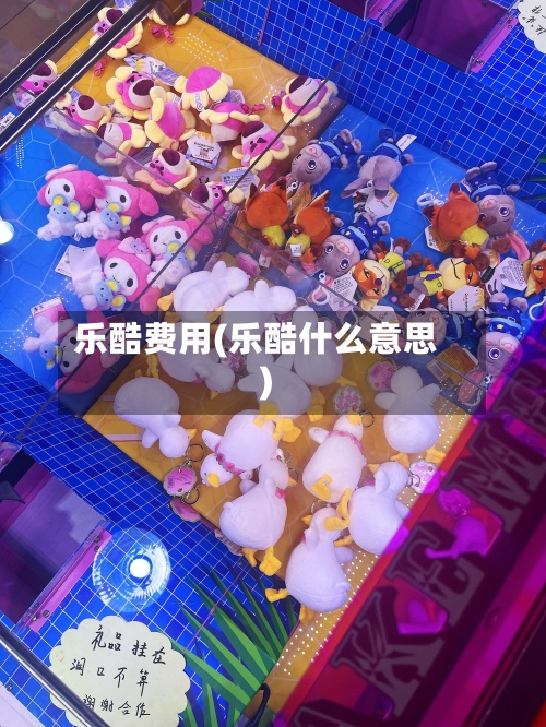 乐酷费用(乐酷什么意思)