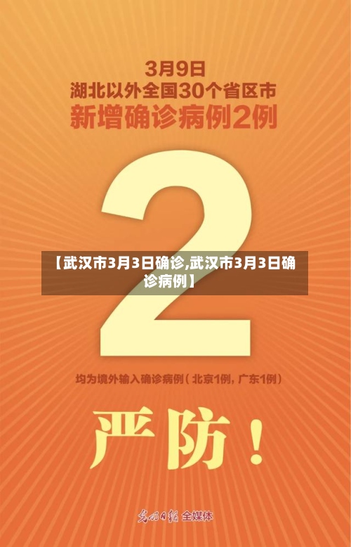 【武汉市3月3日确诊,武汉市3月3日确诊病例】
