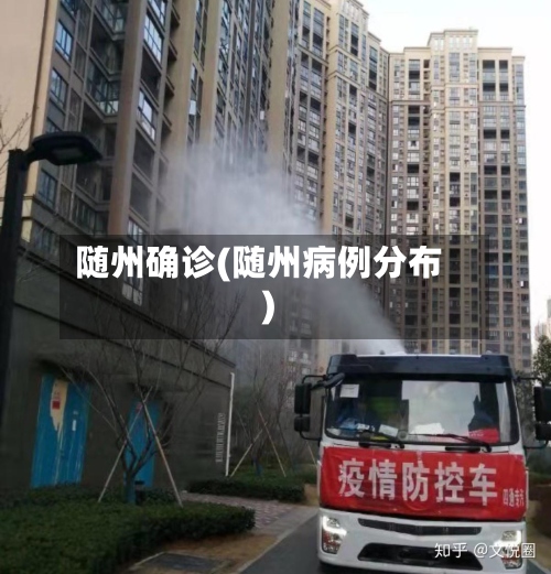 随州确诊(随州病例分布)-第2张图片