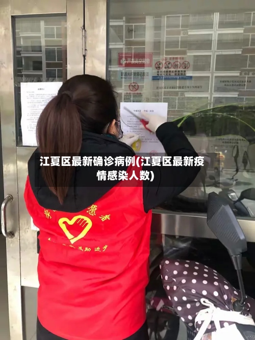 江夏区最新确诊病例(江夏区最新疫情感染人数)-第3张图片