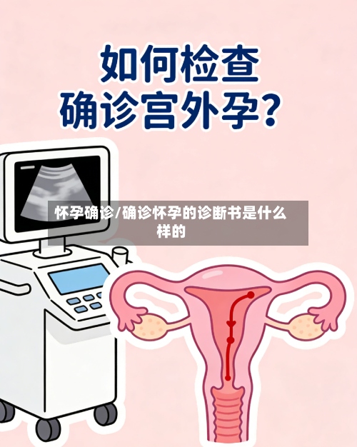 怀孕确诊/确诊怀孕的诊断书是什么样的-第2张图片
