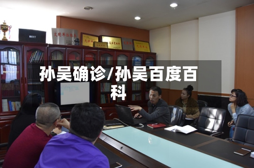 孙吴确诊/孙吴百度百科-第2张图片