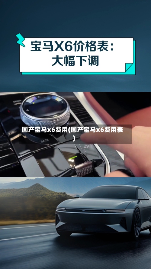 国产宝马x6费用(国产宝马x6费用表)
