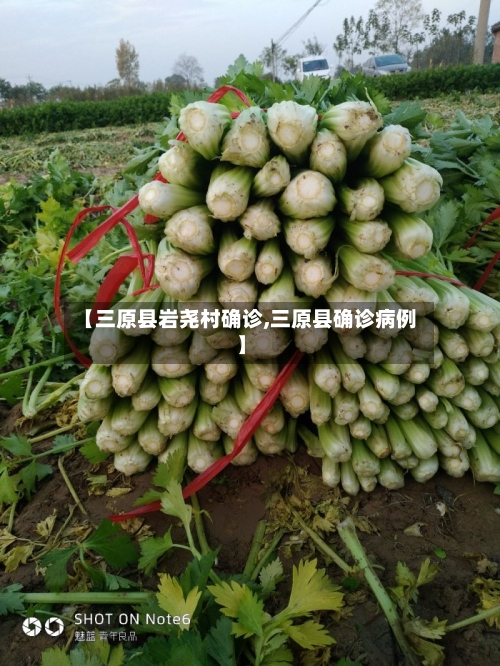 【三原县岩尧村确诊,三原县确诊病例】