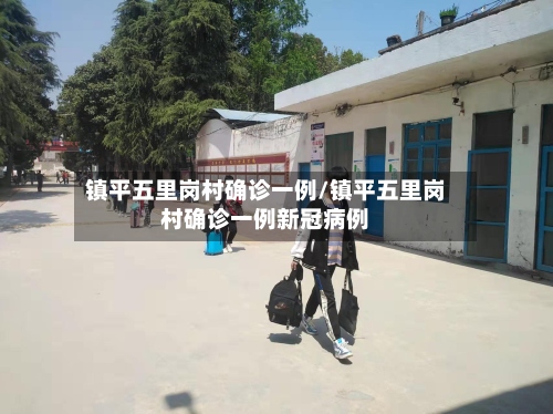 镇平五里岗村确诊一例/镇平五里岗村确诊一例新冠病例