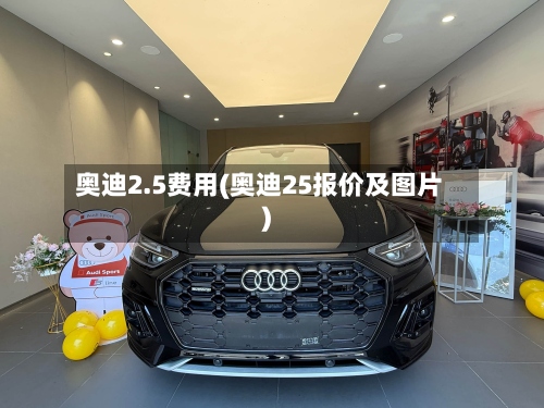 奥迪2.5费用(奥迪25报价及图片)