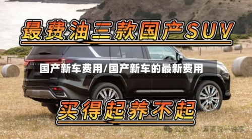国产新车费用/国产新车的最新费用-第2张图片