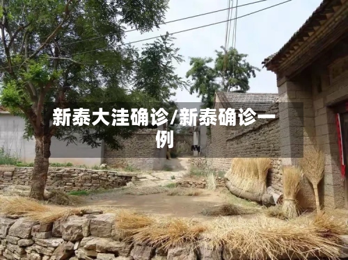 新泰大洼确诊/新泰确诊一例