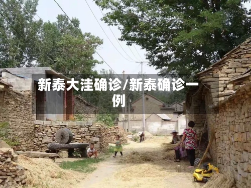 新泰大洼确诊/新泰确诊一例-第2张图片
