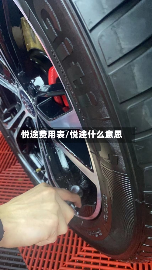 悦途费用表/悦途什么意思