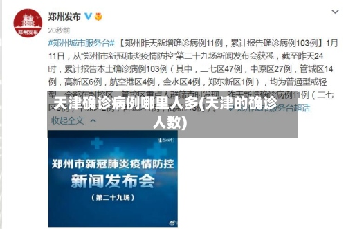 天津确诊病例哪里人多(天津的确诊人数)-第3张图片
