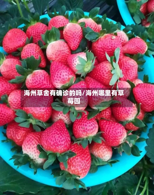 海州草舍有确诊的吗/海州哪里有草莓园