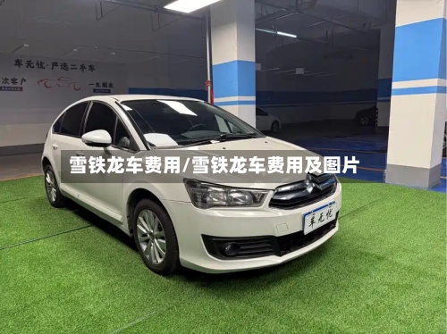 雪铁龙车费用/雪铁龙车费用及图片-第2张图片