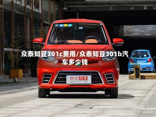 众泰知豆301c费用/众泰知豆301b汽车多少钱-第2张图片