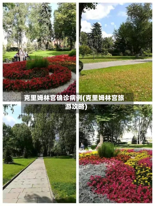 克里姆林宫确诊病例(克里姆林宫旅游攻略)-第2张图片