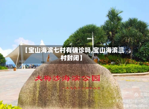 【宝山海滨七村有确诊吗,宝山海滨三村封闭】-第2张图片