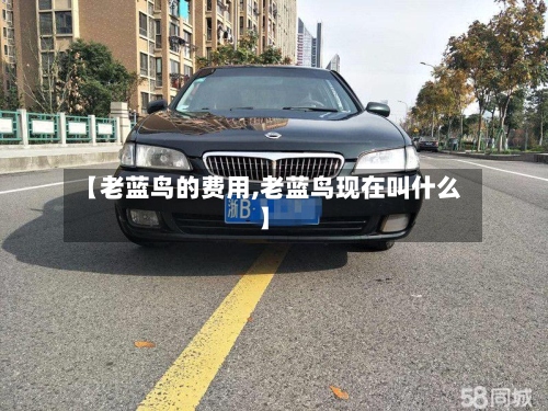 【老蓝鸟的费用,老蓝鸟现在叫什么】
