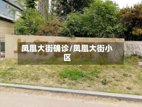 凤凰大街确诊/凤凰大街小区-第2张图片