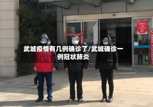武城疫情有几例确诊了/武城确诊一例冠状肺炎