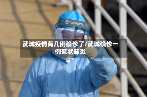 武城疫情有几例确诊了/武城确诊一例冠状肺炎-第2张图片