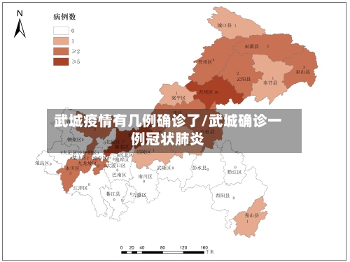 武城疫情有几例确诊了/武城确诊一例冠状肺炎-第3张图片