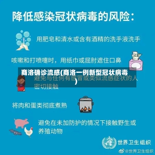 商洛确诊流感(商洛一例新型冠状病毒)-第2张图片