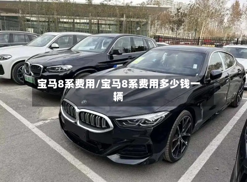 宝马8系费用/宝马8系费用多少钱一辆