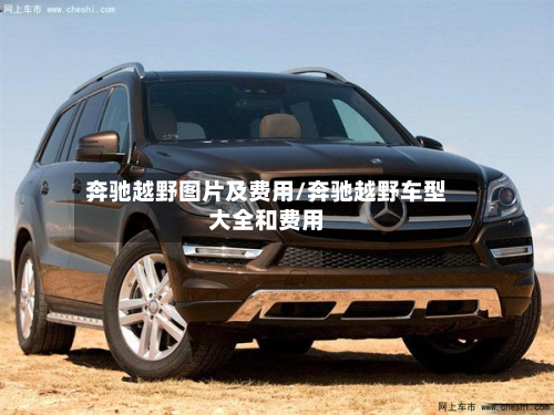 奔驰越野图片及费用/奔驰越野车型大全和费用-第2张图片