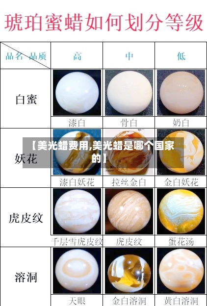 【美光蜡费用,美光蜡是哪个国家的】-第2张图片
