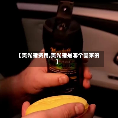 【美光蜡费用,美光蜡是哪个国家的】-第3张图片