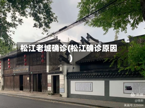 松江老城确诊(松江确诊原因)-第2张图片