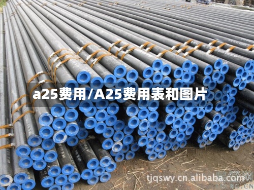 a25费用/A25费用表和图片-第2张图片