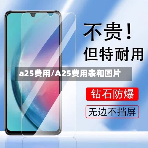 a25费用/A25费用表和图片-第3张图片