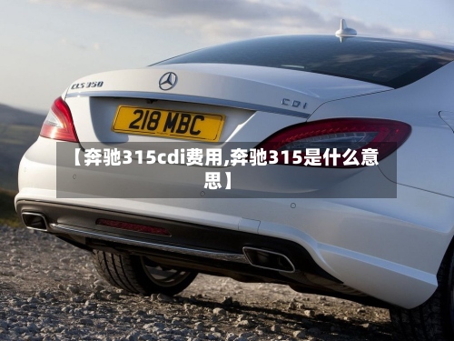 【奔驰315cdi费用,奔驰315是什么意思】-第2张图片