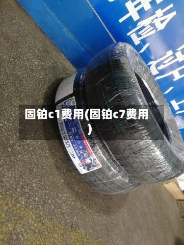 固铂c1费用(固铂c7费用)-第3张图片
