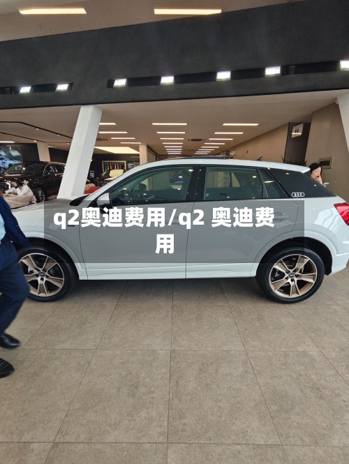 q2奥迪费用/q2 奥迪费用-第2张图片