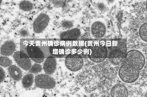 今天贵州确诊病例数据(贵州今日新增确诊多少例)-第2张图片