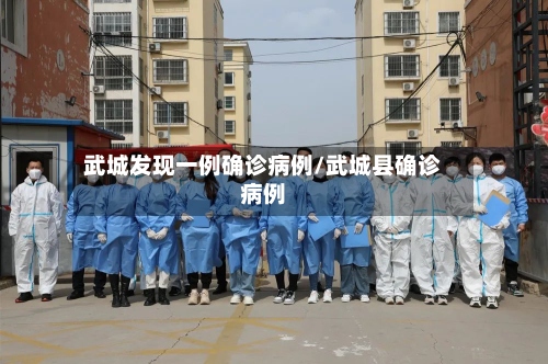 武城发现一例确诊病例/武城县确诊病例