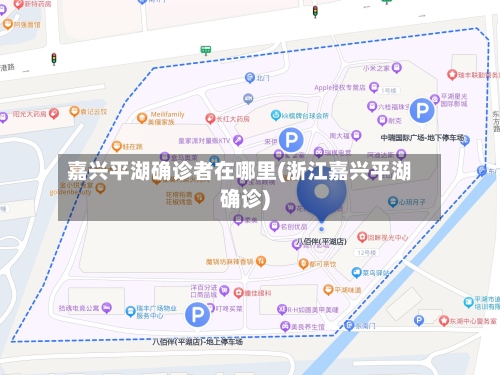 嘉兴平湖确诊者在哪里(浙江嘉兴平湖确诊)-第2张图片
