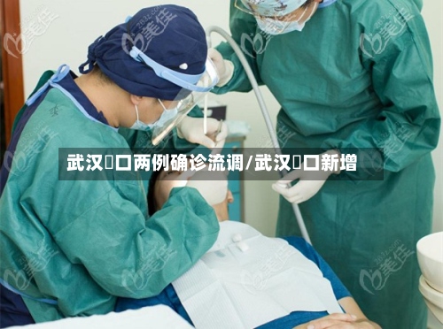 武汉硚口两例确诊流调/武汉硚口新增-第2张图片