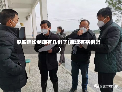 麻城确诊到底有几例了(麻城有病例吗)