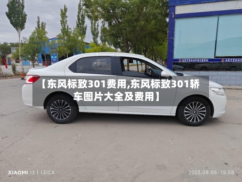 【东风标致301费用,东风标致301轿车图片大全及费用】