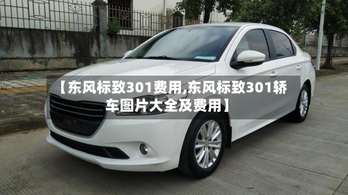 【东风标致301费用,东风标致301轿车图片大全及费用】-第2张图片