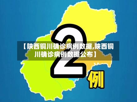 【陕西铜川确诊病例数据,陕西铜川确诊病例数据公布】-第3张图片