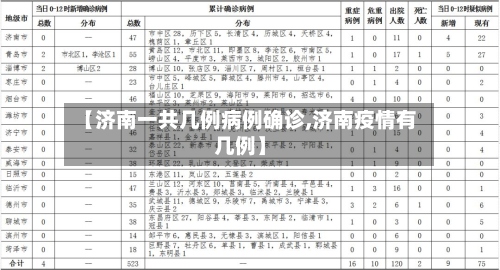 【济南一共几例病例确诊,济南疫情有几例】-第3张图片